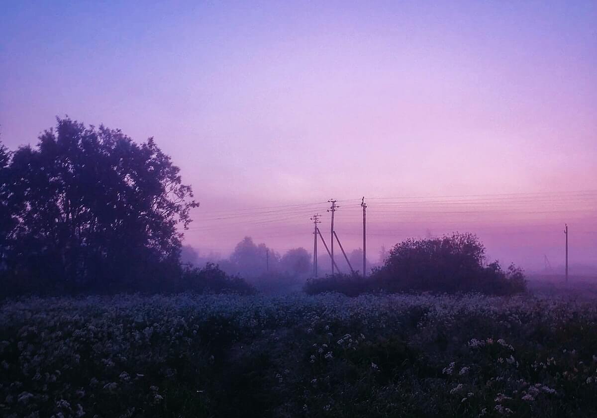 WTA罗马赛名单公布：萨巴伦卡领衔，郑钦文、王欣瑜入围