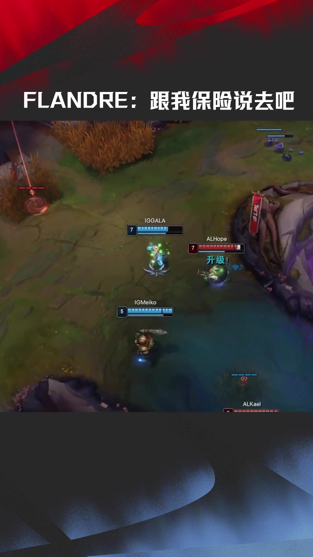 河道？国道！LPL赛事整活 Flandre：跟我的保险说去吧~